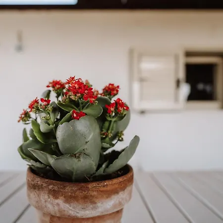 Casa Incanto Apartment Marina di Ragusa